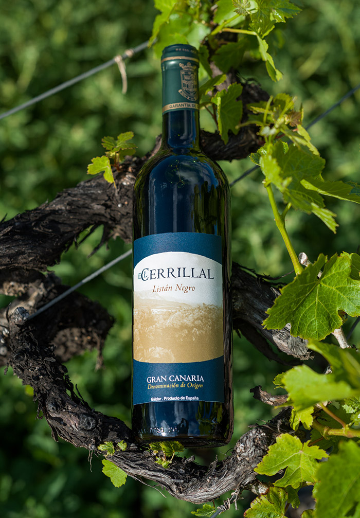 Vino Tinto | El Cerrillal