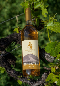 Vino Moscatel_WEB